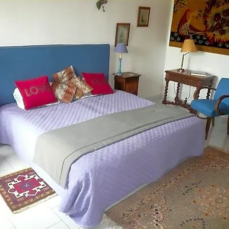 Logis Du Chateau Du Bois Doucet Bed & Breakfast